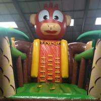 Monkey Grimpant