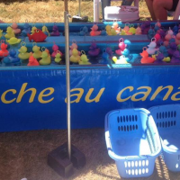 pêche aux canards