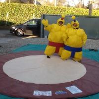 Sumo Adultes