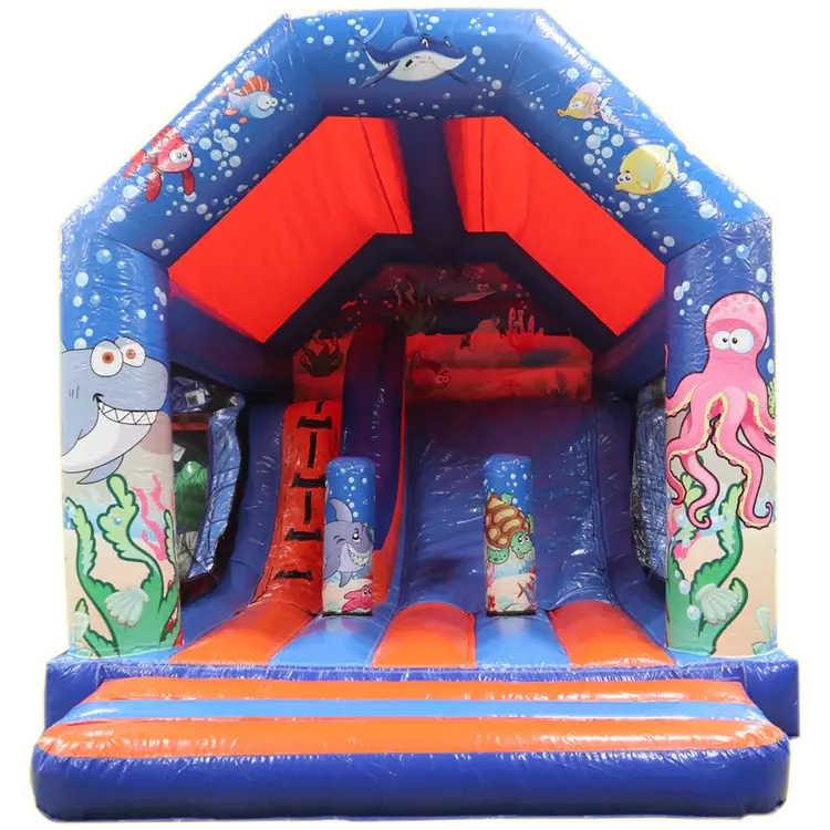 Chateau ocean 1