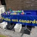 Pêche aux canards
